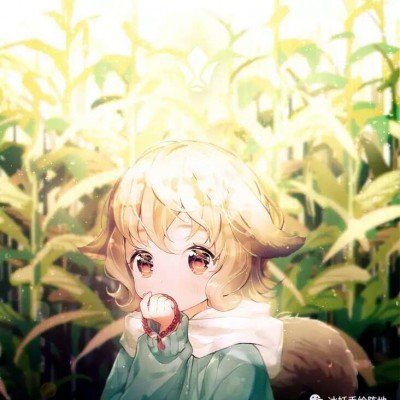 法国车手夺冠感谢张雪机车